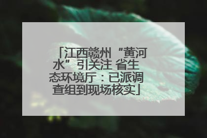 江西赣州“黄河水”引关注 省生态环境厅：已派调查组到现场核实
