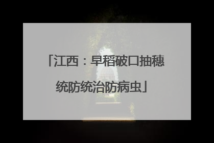 江西：早稻破口抽穗 统防统治防病虫