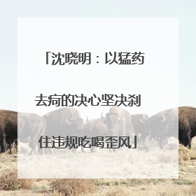 沈晓明：以猛药去疴的决心坚决刹住违规吃喝歪风