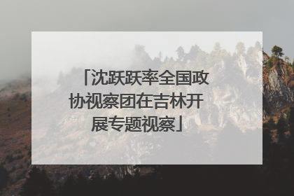 沈跃跃率全国政协视察团在吉林开展专题视察