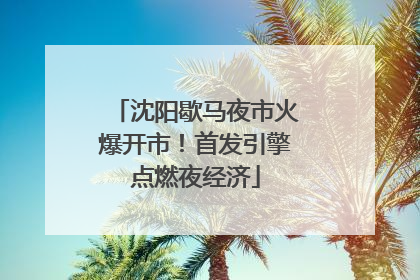 沈阳歇马夜市火爆开市！首发引擎点燃夜经济