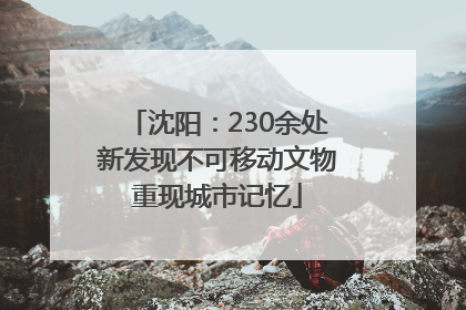 沈阳：230余处新发现不可移动文物重现城市记忆