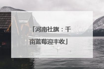 河南社旗：千亩蓝莓迎丰收