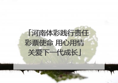 河南体彩践行责任彩票使命 用心用情关爱下一代成长