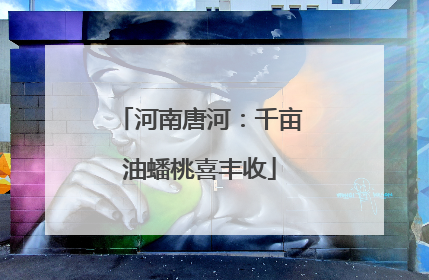 河南唐河：千亩油蟠桃喜丰收