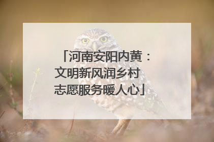 河南安阳内黄：文明新风润乡村 志愿服务暖人心