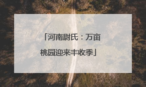河南尉氏：万亩桃园迎来丰收季