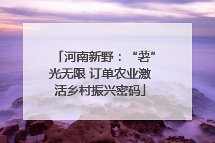 河南新野：“薯”光无限 订单农业激活乡村振兴密码