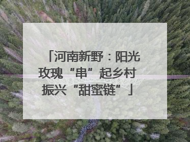 河南新野：阳光玫瑰“串”起乡村振兴“甜蜜链”