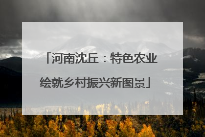 河南沈丘：特色农业绘就乡村振兴新图景