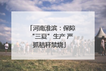河南淮滨：保障“三夏”生产 严抓秸秆禁烧