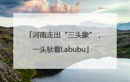 河南走出“三头象”，一头驮着Labubu