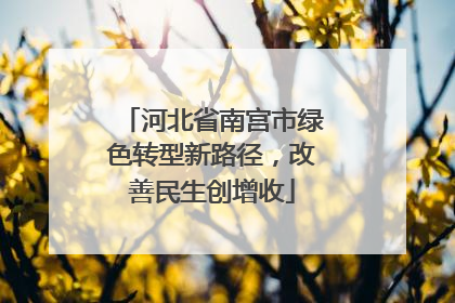 河北省南宫市绿色转型新路径，改善民生创增收