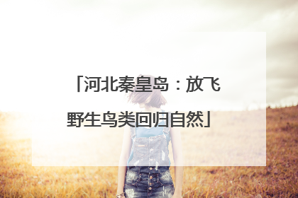 河北秦皇岛：放飞野生鸟类回归自然