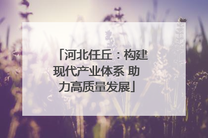 河北任丘：构建现代产业体系 助力高质量发展