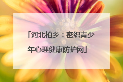 河北柏乡：密织青少年心理健康防护网