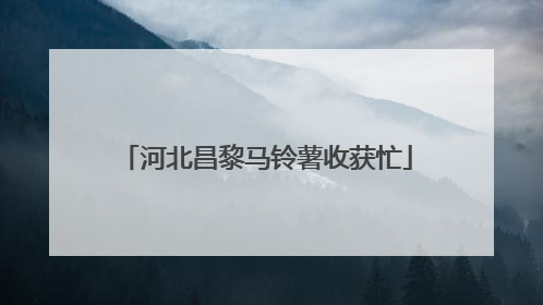 河北昌黎马铃薯收获忙