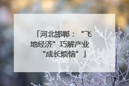 河北邯郸：“飞地经济”巧解产业“成长烦恼”
