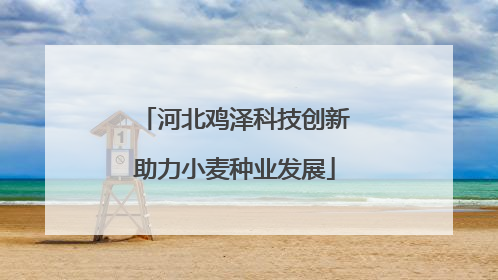 河北鸡泽科技创新助力小麦种业发展