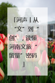 河声丨从“文”到“创”，读懂河南文旅“留量”密码