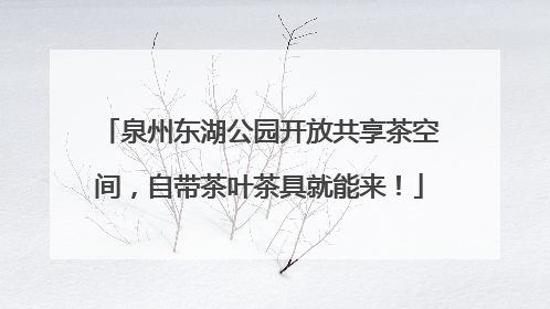 泉州东湖公园开放共享茶空间，自带茶叶茶具就能来！