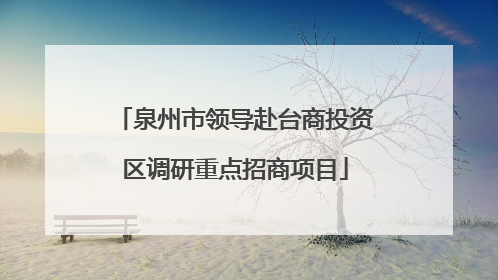 泉州市领导赴台商投资区调研重点招商项目