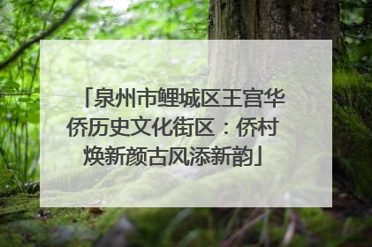 泉州市鲤城区王宫华侨历史文化街区：侨村焕新颜古风添新韵