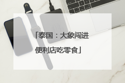 泰国：大象闯进便利店吃零食