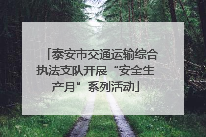 泰安市交通运输综合执法支队开展“安全生产月”系列活动