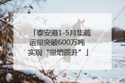 泰安港1-5月集疏运量突破600万吨 实现“量增质升”