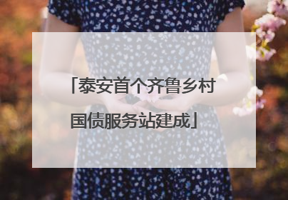泰安首个齐鲁乡村国债服务站建成