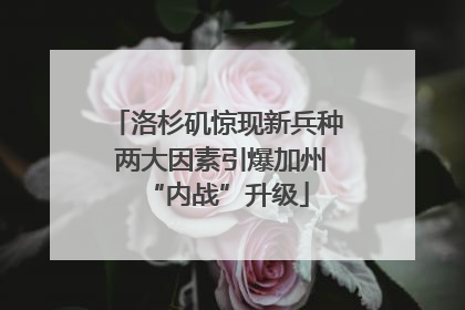 洛杉矶惊现新兵种 两大因素引爆加州“内战”升级