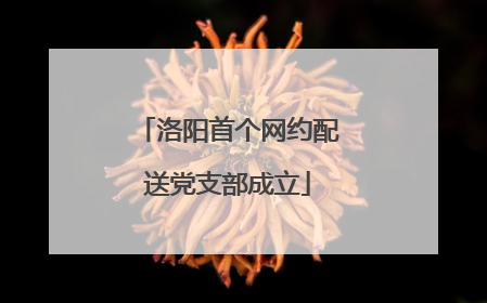 洛阳首个网约配送党支部成立