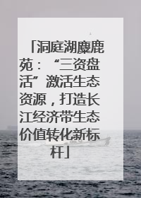 洞庭湖麋鹿苑：“三资盘活”激活生态资源，打造长江经济带生态价值转化新标杆