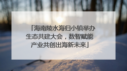 海南陵水海归小镇举办生态共建大会，数智赋能产业共创出海新未来