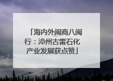 海内外闽商八闽行：漳州古雷石化产业发展获点赞