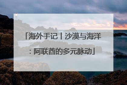 海外手记丨沙漠与海洋：阿联酋的多元脉动