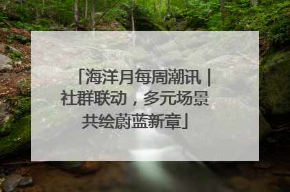 海洋月每周潮讯｜社群联动，多元场景共绘蔚蓝新章