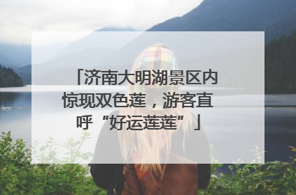 济南大明湖景区内惊现双色莲，游客直呼“好运莲莲”