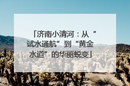 济南小清河：从“试水通航”到“黄金水道”的华丽蜕变