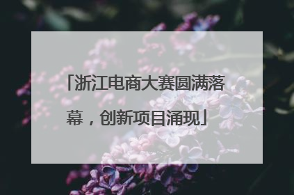 浙江电商大赛圆满落幕，创新项目涌现