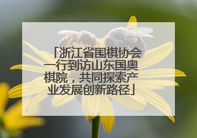 浙江省围棋协会一行到访山东国奥棋院，共同探索产业发展创新路径