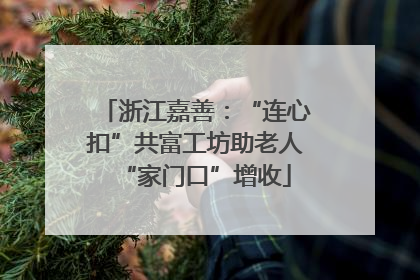 浙江嘉善：“连心扣”共富工坊助老人“家门口”增收