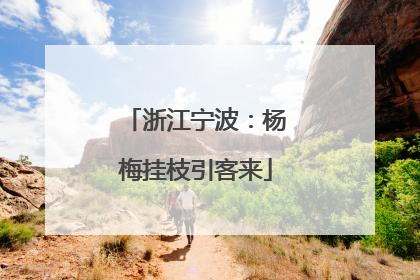 浙江宁波：杨梅挂枝引客来