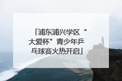 浦东浦兴学区“大爱杯”青少年乒乓球赛火热开启