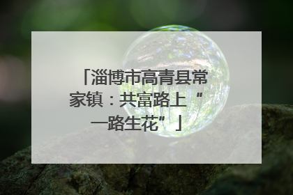 淄博市高青县常家镇：共富路上“一路生花”