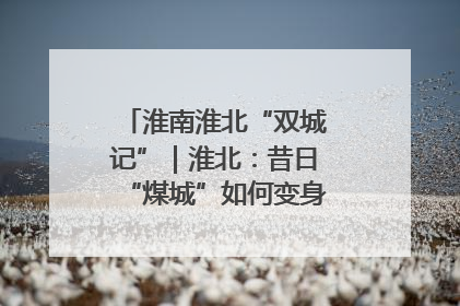 淮南淮北“双城记”｜淮北：昔日“煤城”如何变身文旅“美城”？