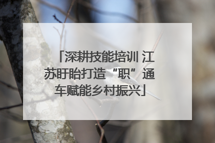 深耕技能培训 江苏盱眙打造“职”通车赋能乡村振兴