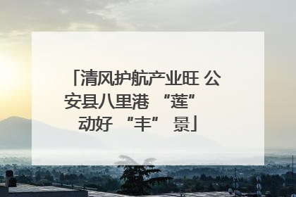 清风护航产业旺 公安县八里港 “莲” 动好 “丰” 景