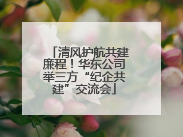 清风护航共建廉程！华东公司举三方“纪企共建”交流会